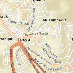 Tosya Street Map