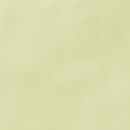 Mata de Lobos Street Map