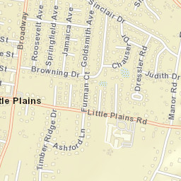 Little Plains New York Street Map