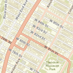 American Museum of Natural History, New York Street Map