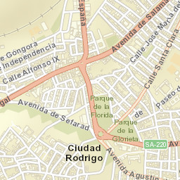Ciudad Rodrigo Street Map