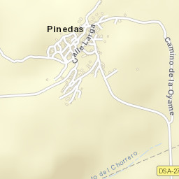 Pinedas Street Map