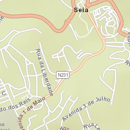 Seia Street Map
