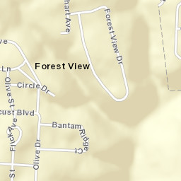 Forest View Ohio Street Map