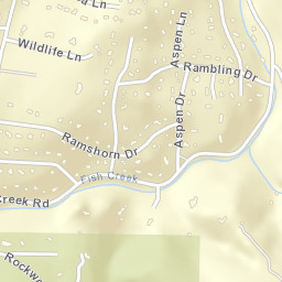 1299 Rambling Drive, Estes Park, CO Street Map