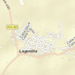 Lagunilla Street Map