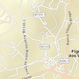 Figueiró Dos Vinhos Street Map