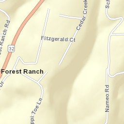Forest Ranch California Street Map
