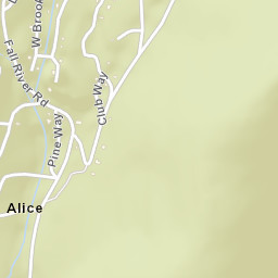 Alice Colorado Street Map