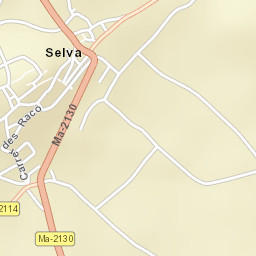 Selva Street Map
