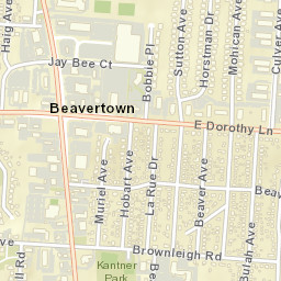 Beavertown Ohio Street Map