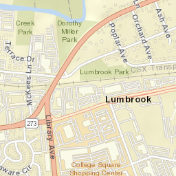 Lumbrook Delaware Street Map