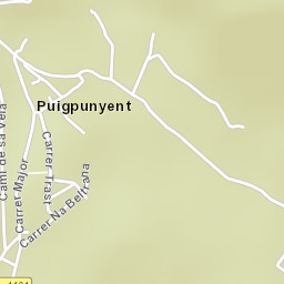 Puigpunyent Street Map