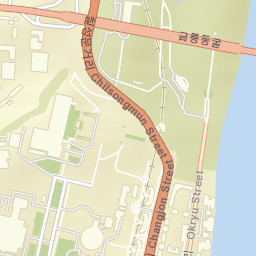 Pyongyang Street Map