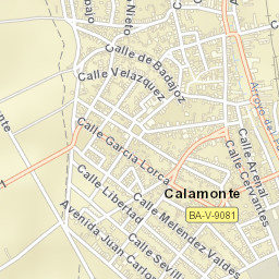 Calamonte Street Map