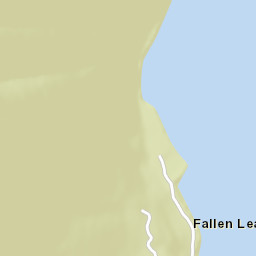 Fallen Leaf California Street Map