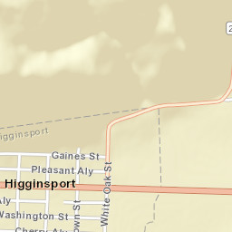 Higginsport Ohio Street Map
