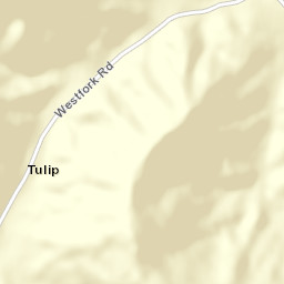 Tulip Ohio Street Map