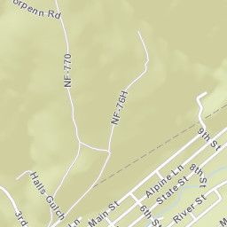 Pitkin Colorado Street Map