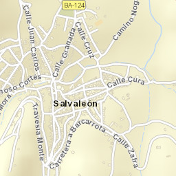 Salvaleón Street Map