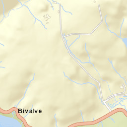 Bivalve California Street Map