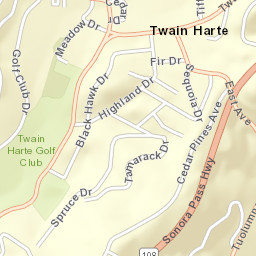 22958-22966 Meadow Dr Twain Harte Street Map