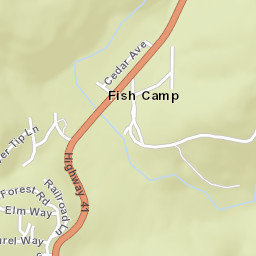Fish Camp California Street Map