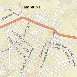 Campillos Street Map