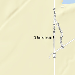 166 State Hwy V Sturdivant MO Street Map