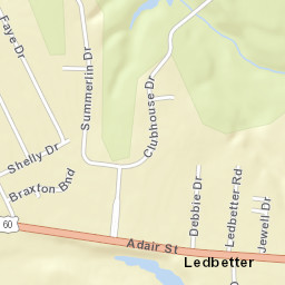 1519 Adair Street Ledbetter KY 42058 Street Map