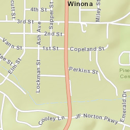 Elms Street, Mark Twain National Forest Street Map