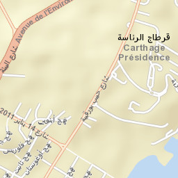 Carthage Street Map