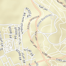 Tunis Street Map
