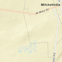 Mitchellville Tennessee Street Map