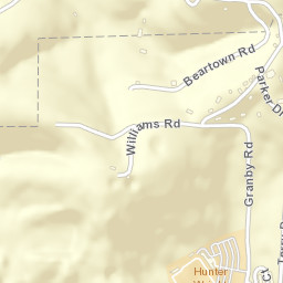Beartown Tennessee Street Map