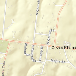 Cross Plains Tennessee Street Map