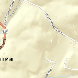 Pall Mall Tennessee Street Map