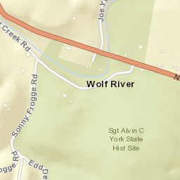 Wolf River Tennessee Street Map