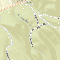 Hickory Tree Tennessee Street Map