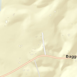 Baggettsville Tennessee Street Map