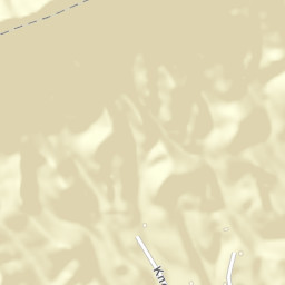 Conkintown Tennessee Street Map