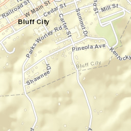 Bluff City Tennessee Street Map