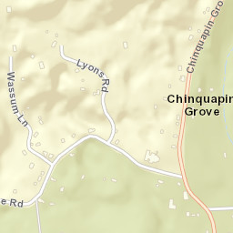 Chinquapin Grove Tennessee Street Map