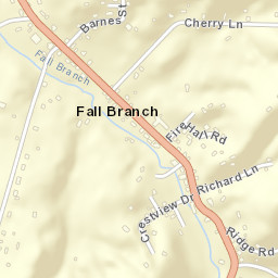 Fall Branch Tennessee Street Map