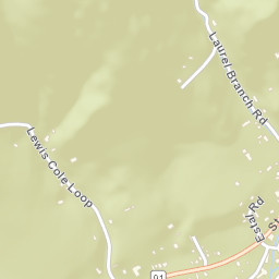 Carter Tennessee Street Map