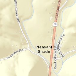 Pleasant Shade Tennessee Street Map