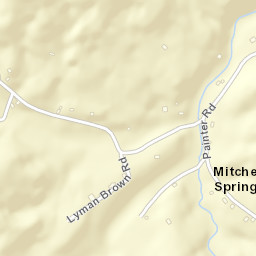 Mitchell Springs Tennessee Street Map
