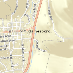 Gainesboro Tennessee Street Map