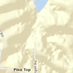 Pine Top Arkansas Street Map