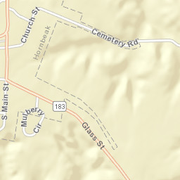 Hornbeak Tennessee Street Map